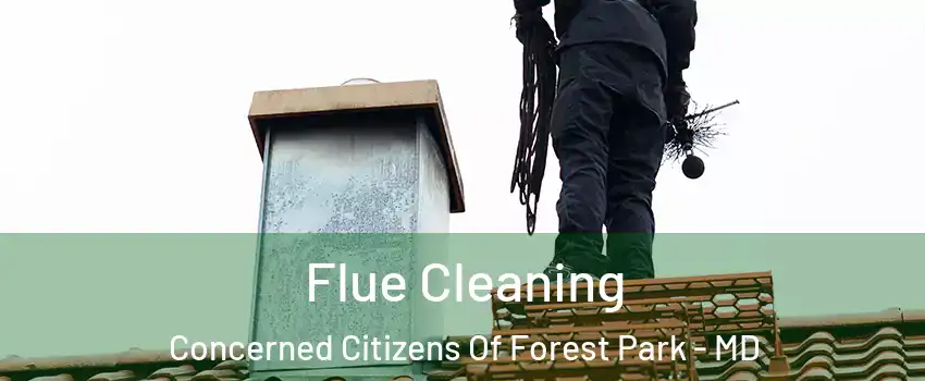 Flue Cleaning Concerned Citizens Of Forest Park - MD