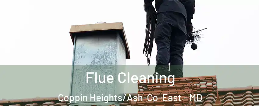 Flue Cleaning Coppin Heights/Ash-Co-East - MD