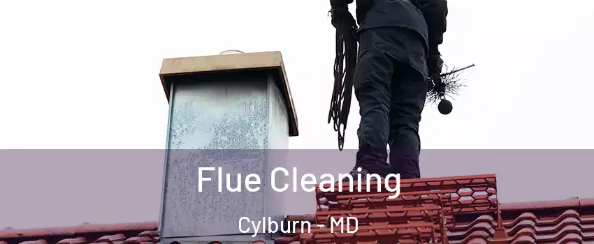 Flue Cleaning Cylburn - MD
