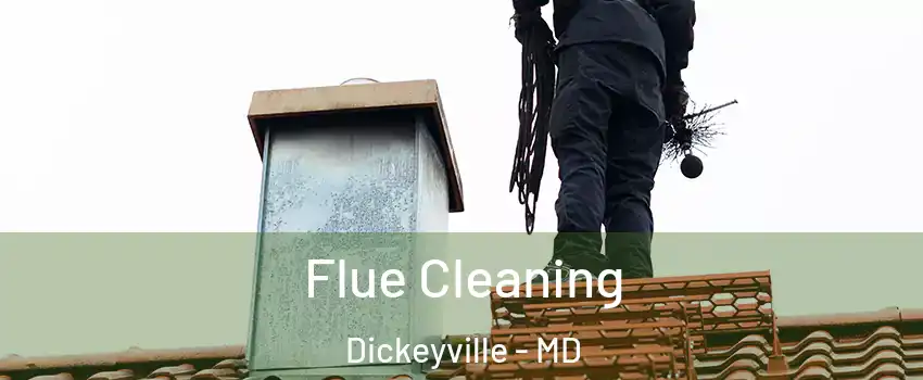 Flue Cleaning Dickeyville - MD