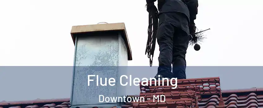 Flue Cleaning Downtown - MD