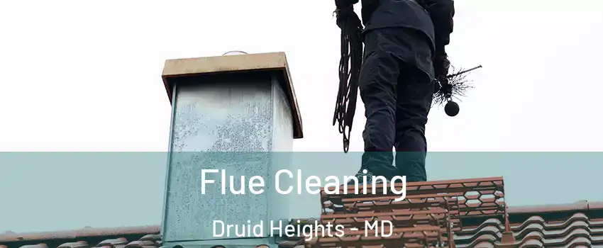 Flue Cleaning Druid Heights - MD