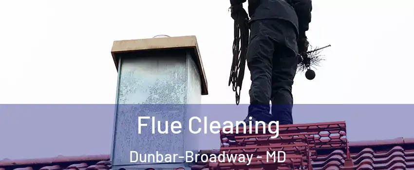 Flue Cleaning Dunbar-Broadway - MD