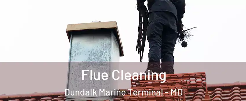 Flue Cleaning Dundalk Marine Terminal - MD