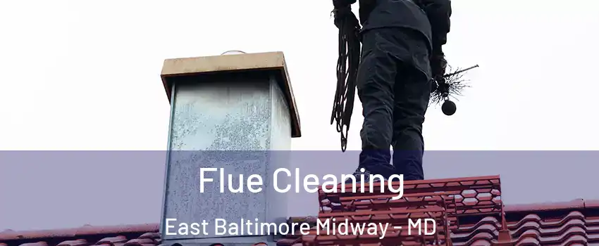 Flue Cleaning East Baltimore Midway - MD