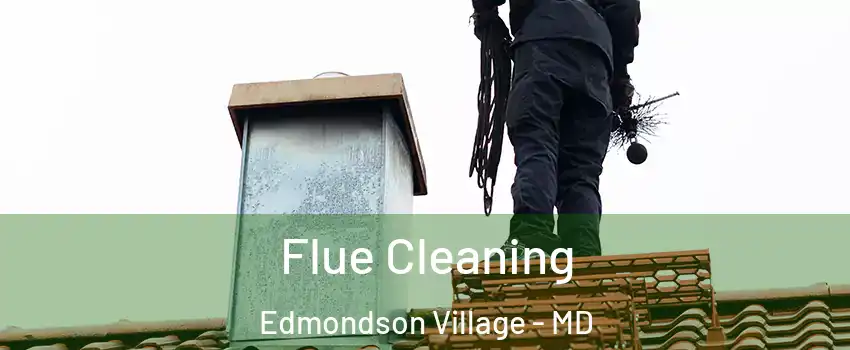 Flue Cleaning Edmondson Village - MD