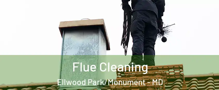 Flue Cleaning Ellwood Park/Monument - MD
