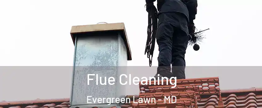 Flue Cleaning Evergreen Lawn - MD