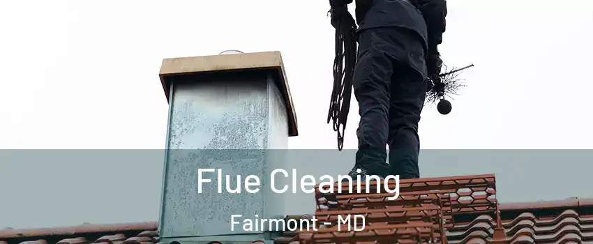 Flue Cleaning Fairmont - MD