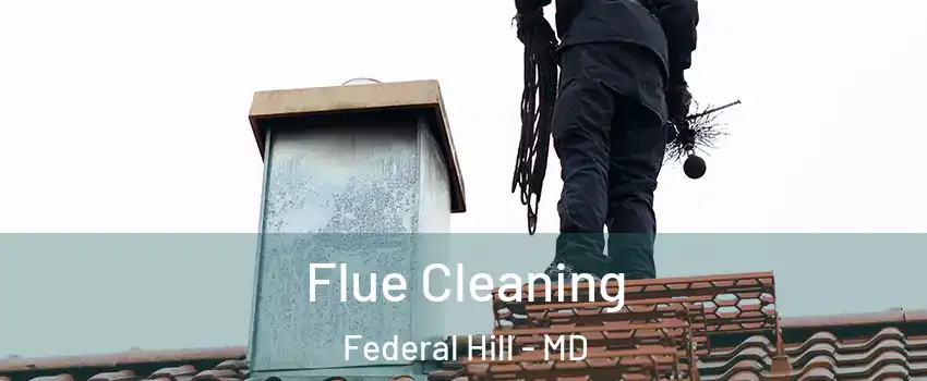 Flue Cleaning Federal Hill - MD
