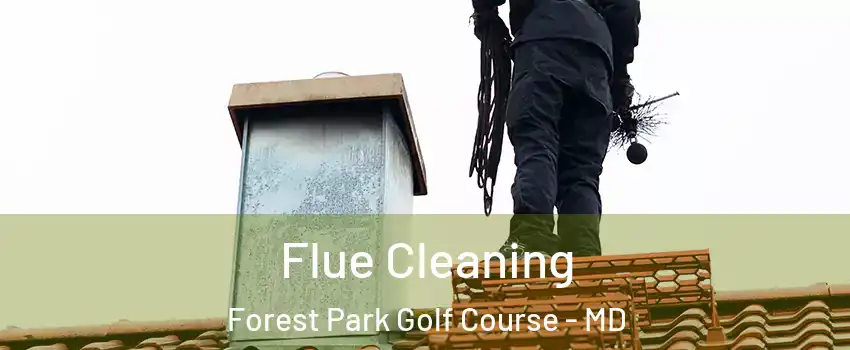 Flue Cleaning Forest Park Golf Course - MD