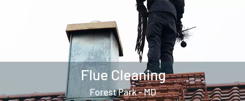 Flue Cleaning Forest Park - MD
