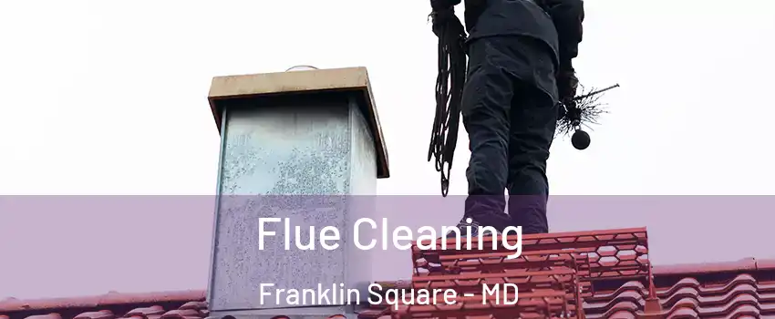 Flue Cleaning Franklin Square - MD