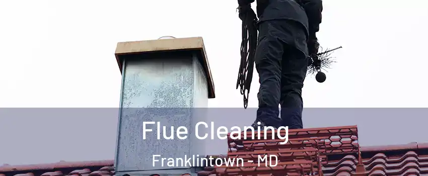 Flue Cleaning Franklintown - MD