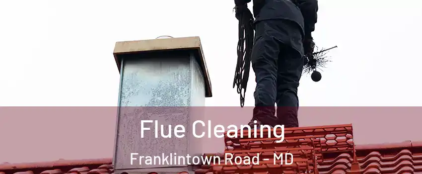 Flue Cleaning Franklintown Road - MD