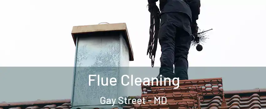 Flue Cleaning Gay Street - MD