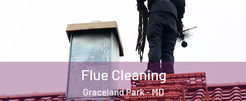 Flue Cleaning Graceland Park - MD