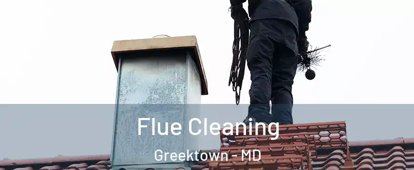 Flue Cleaning Greektown - MD