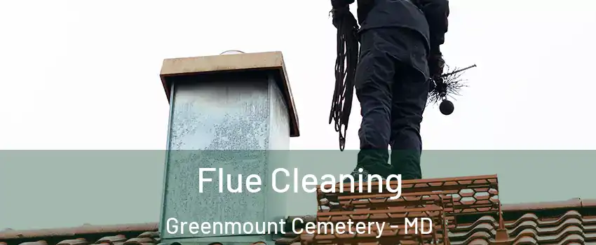 Flue Cleaning Greenmount Cemetery - MD