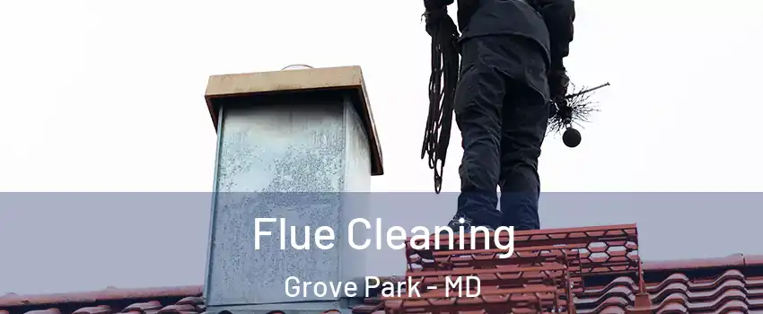 Flue Cleaning Grove Park - MD