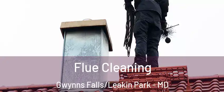 Flue Cleaning Gwynns Falls/Leakin Park - MD