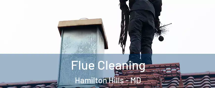 Flue Cleaning Hamilton Hills - MD