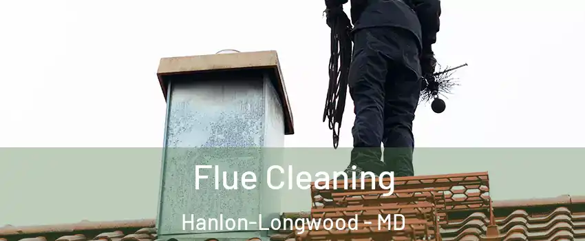 Flue Cleaning Hanlon-Longwood - MD