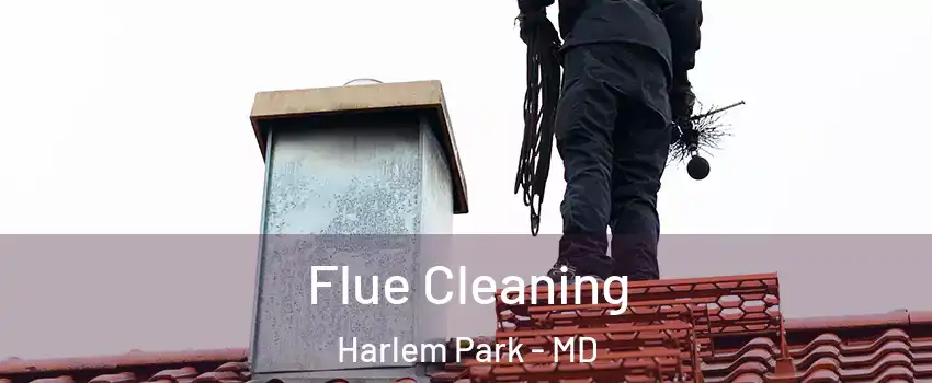 Flue Cleaning Harlem Park - MD