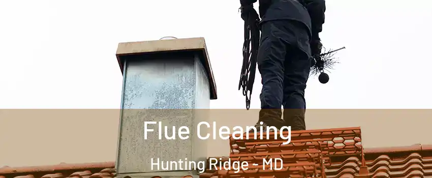 Flue Cleaning Hunting Ridge - MD