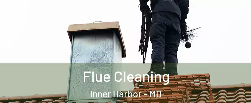 Flue Cleaning Inner Harbor - MD