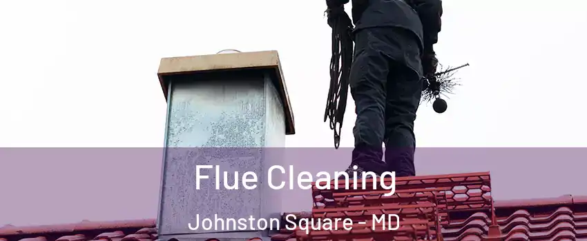 Flue Cleaning Johnston Square - MD