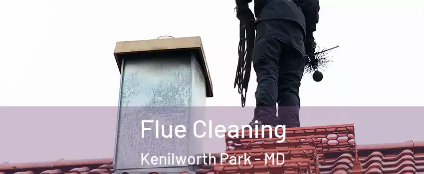 Flue Cleaning Kenilworth Park - MD