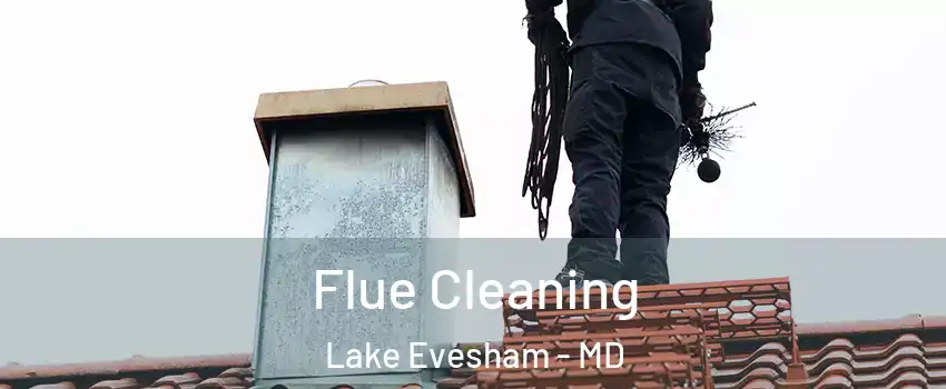 Flue Cleaning Lake Evesham - MD