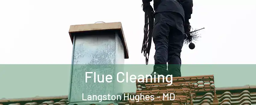 Flue Cleaning Langston Hughes - MD