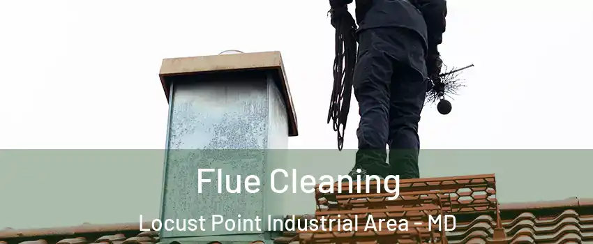 Flue Cleaning Locust Point Industrial Area - MD