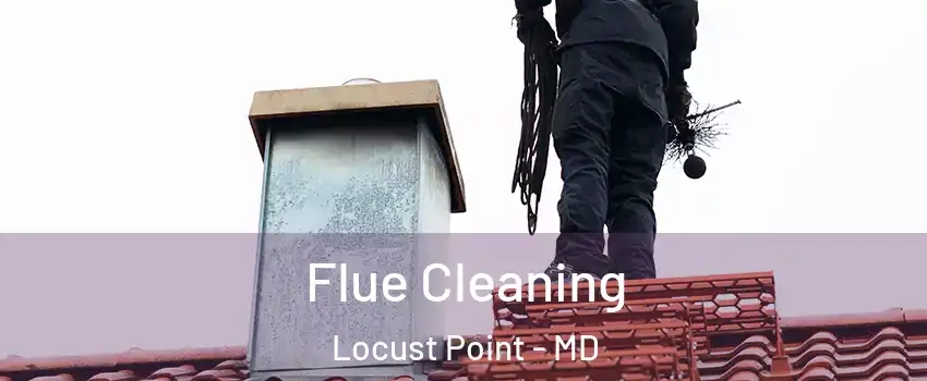Flue Cleaning Locust Point - MD