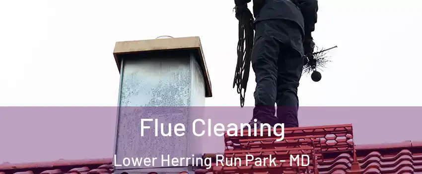 Flue Cleaning Lower Herring Run Park - MD