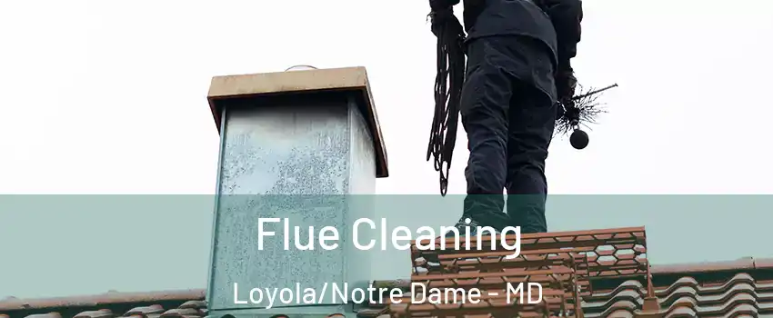 Flue Cleaning Loyola/Notre Dame - MD