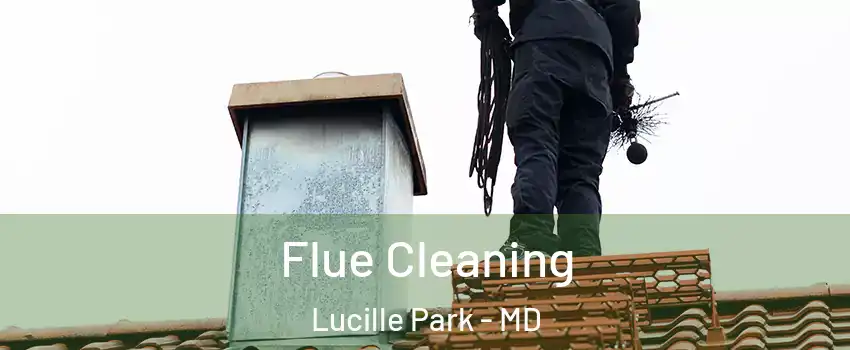 Flue Cleaning Lucille Park - MD