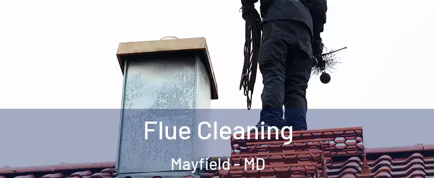 Flue Cleaning Mayfield - MD