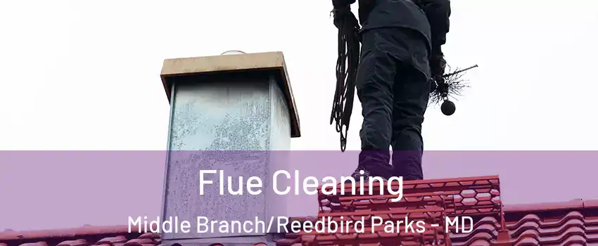 Flue Cleaning Middle Branch/Reedbird Parks - MD