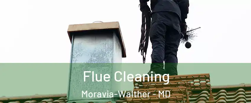 Flue Cleaning Moravia-Walther - MD