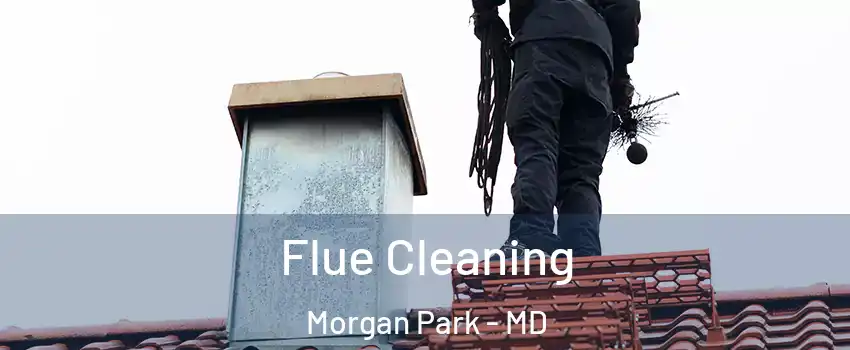 Flue Cleaning Morgan Park - MD
