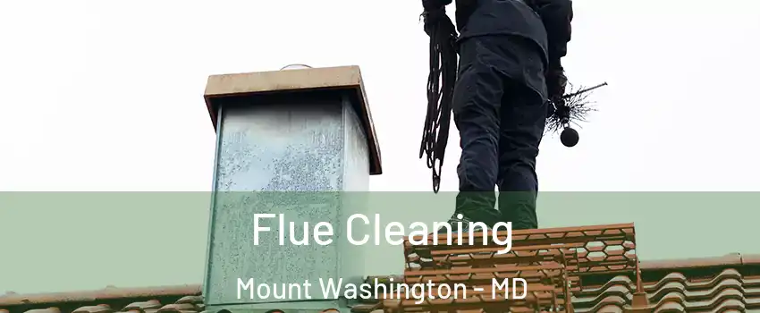 Flue Cleaning Mount Washington - MD