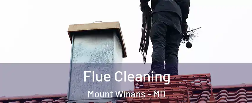 Flue Cleaning Mount Winans - MD