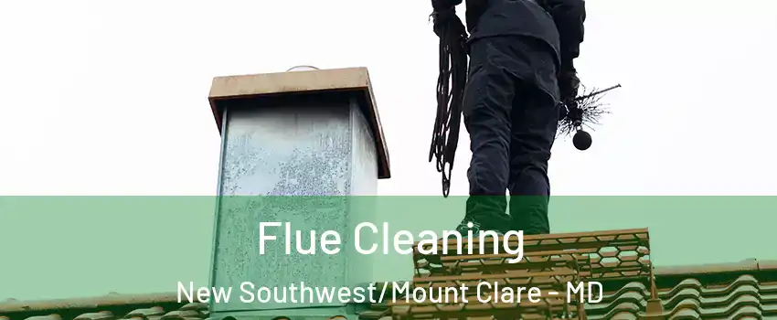Flue Cleaning New Southwest/Mount Clare - MD