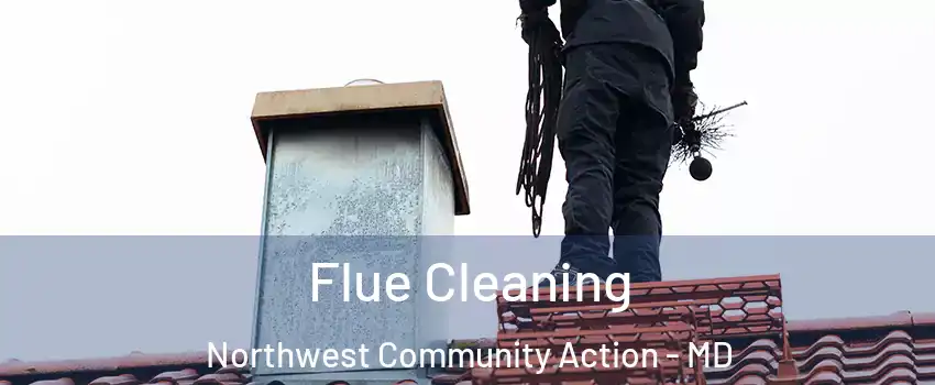 Flue Cleaning Northwest Community Action - MD