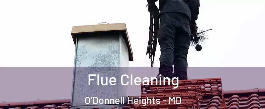 Flue Cleaning O'Donnell Heights - MD