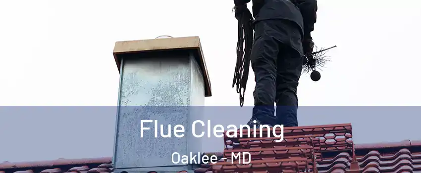 Flue Cleaning Oaklee - MD