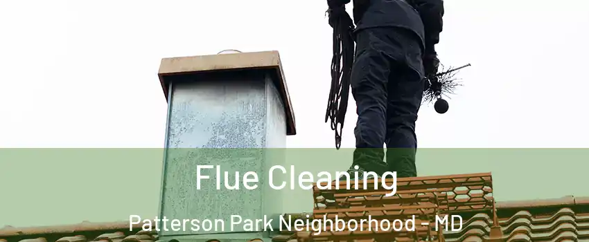 Flue Cleaning Patterson Park Neighborhood - MD
